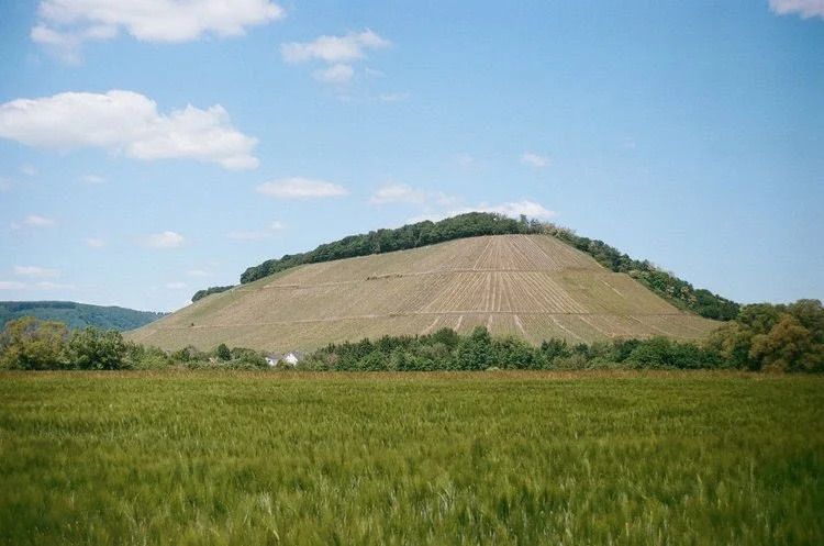 German Wine Update - New Arrivals, Great Winemakers! — E & R Wine Shop